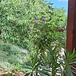 Apartment Teli Berek Vendeghaz Abod