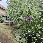 Teli Berek Vendeghaz Apartment