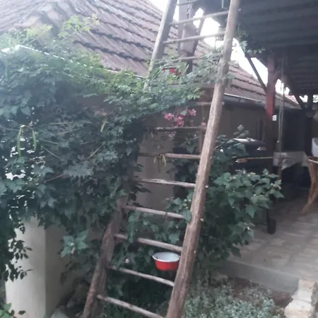 Apartment Teli Berek Vendeghaz