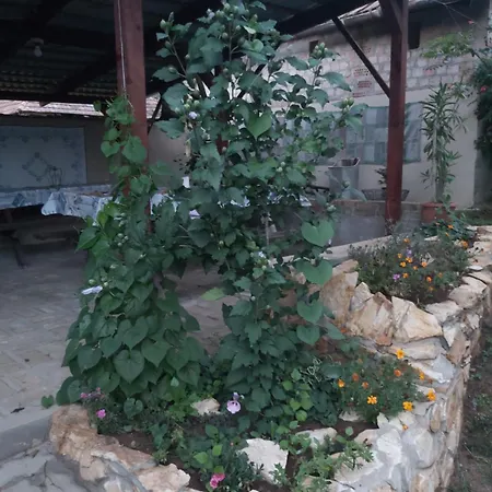 Teli Berek Vendeghaz Apartment *
