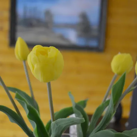 Apartamento Téli Berek *