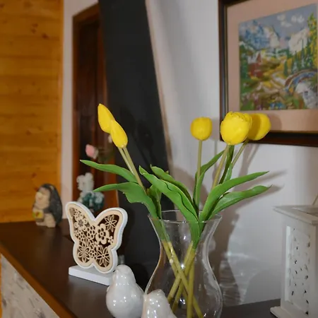Teli Berek Vendeghaz Апартаменты *