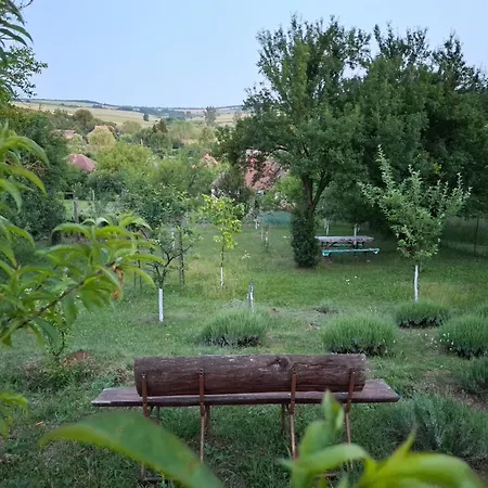 Teli Berek Vendeghaz *