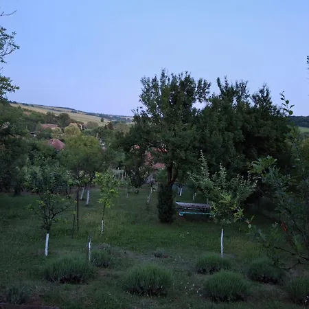 Téli Berek Apartamento *