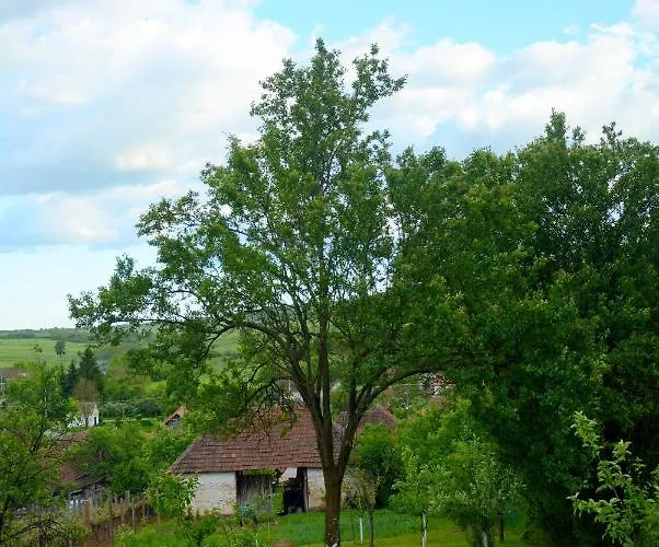 Apartament Teli Berek Vendeghaz