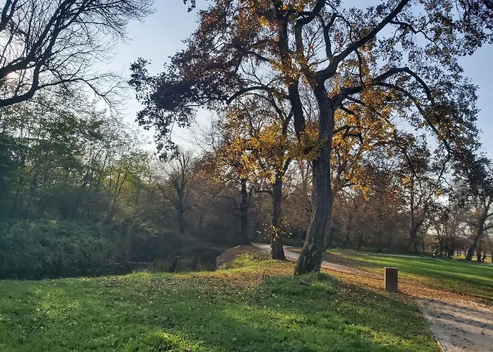 Téli Berek Appartamento Abod