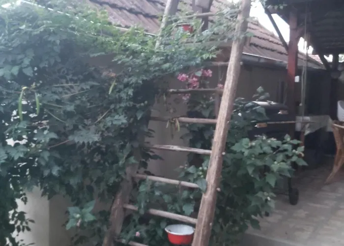 Apartament Teli Berek Vendeghaz