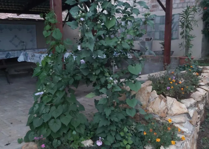 Teli Berek Vendeghaz Apartament *