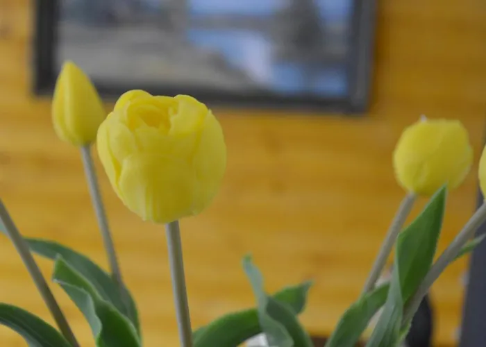 Appartamento Téli Berek *