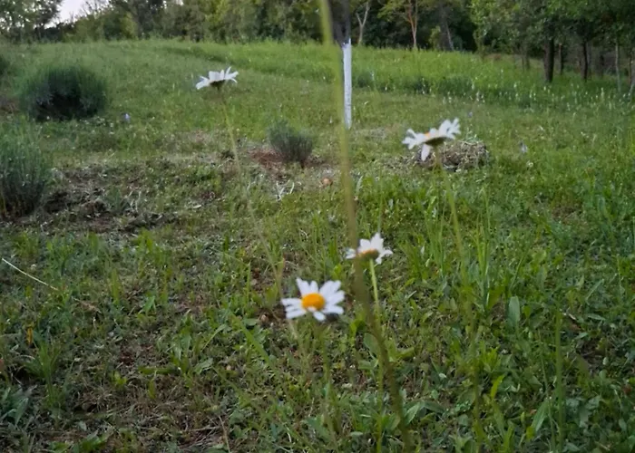 Teli Berek Vendeghaz Apartament *