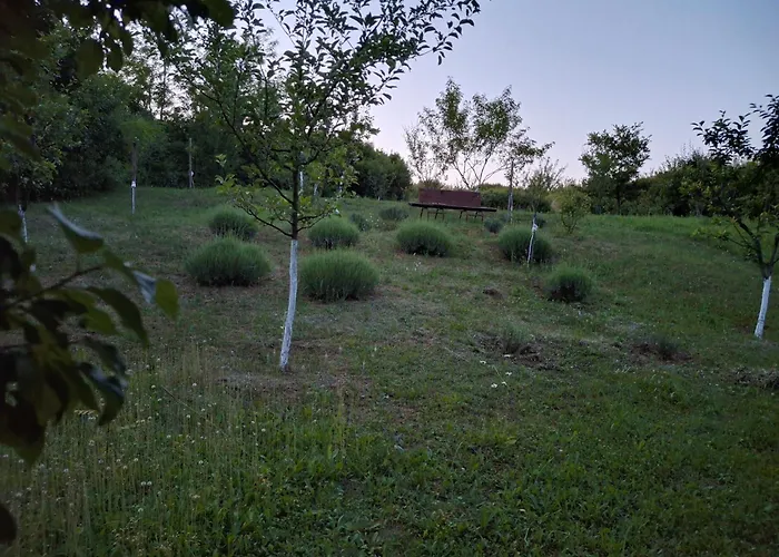 Apartament Teli Berek Vendeghaz *