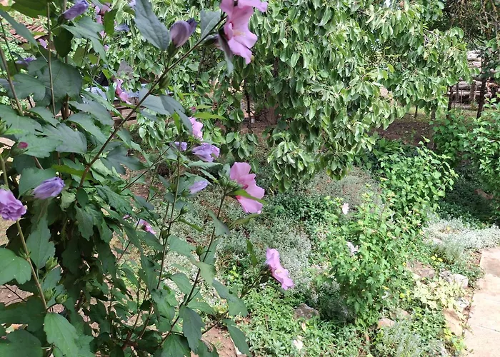 Teli Berek Vendeghaz Apartament