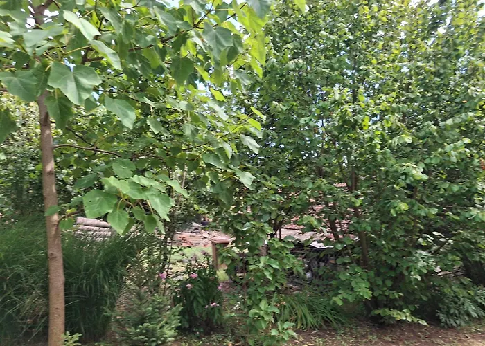 Téli Berek Appartamento *