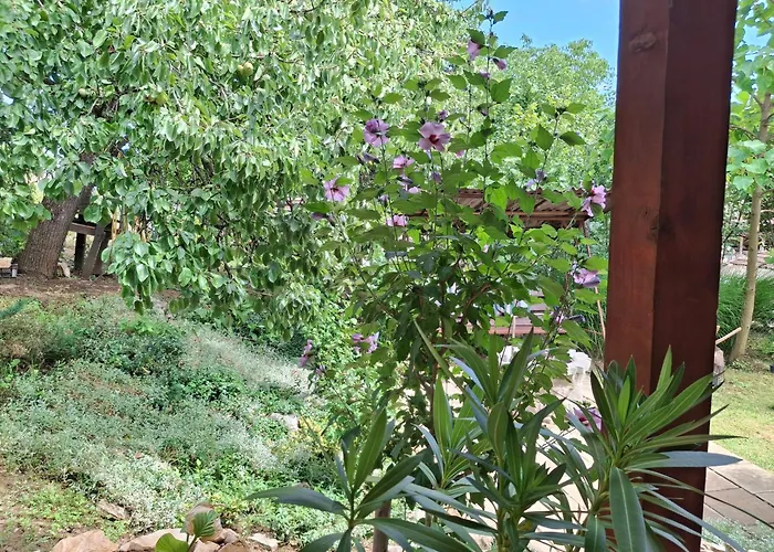 Apartment Teli Berek Vendeghaz Abod