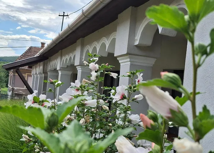 Téli Berek Appartamento