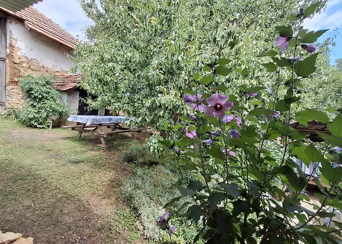 Teli Berek Vendeghaz Apartment