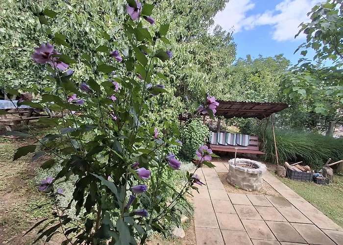 Téli Berek Appartamento *